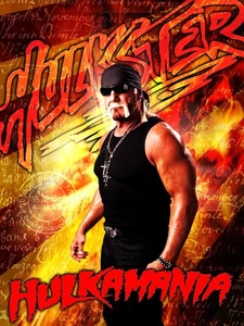 Hulster Hulkamania Metal Sign - Picture 1 of 1