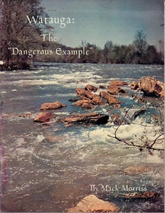Elizabethton, Tn - Watauga: L'esempio pericoloso - La storia delle banche di sicomoro - Foto 1 di 1
