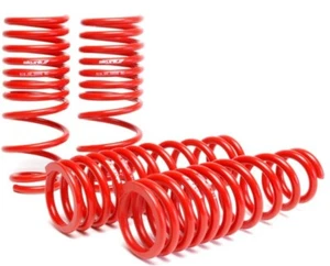 Skunk2 Lowering Springs (2.50in - 2.25in.) (Set of 4) For 94-01 Acura Integra - Picture 1 of 8