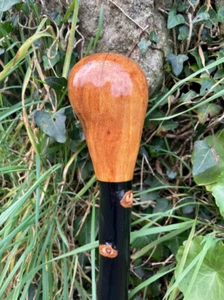 Blackthorn Walking Stick Cane, Wooden Walking Cane, Best Gift for Grandfather. - Picture 1 of 9
