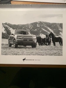 Bronco Sport Poster, 11 X 14 Black & White - Bild 1 von 1