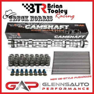 Brian Tooley Racing (BTR) "Truck Norris" LS Truck Cam Kit & OE Pushrods - Foto 1 di 3