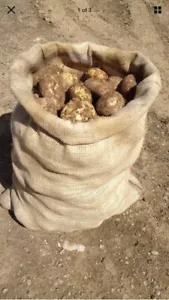 5 x grands sacs de rangement hessois 50 cm x 80 cm jute pommes de terre légumes sacs erreurs d'impression - Photo 1/3