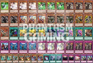 Tri-Brigade Zoodiac Deck Solemn Judgment Droll Lock Bird Yugioh - Picture 1 of 1