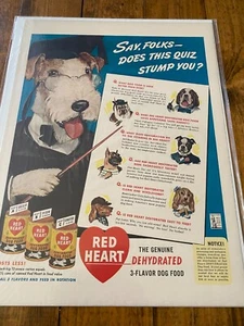 Anuncio de comida para perros Professor Terrier 1943 Red Heart vintage - Imagen 1 de 1