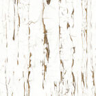 Bodenfliese Feinsteinzeug Vegas Bianco 60 x 60 cm weiß Innenwandfliese Steingut