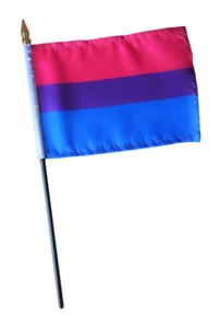 Bisexual Bi Pride LGBTQ+ Edged Small Hand Waving Flag  - Picture 1 of 3