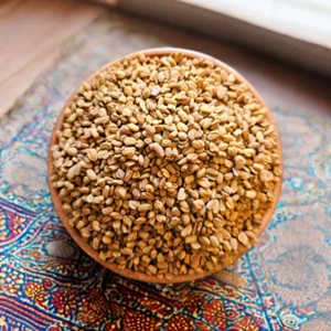 Fenugrec - الحلبة - Imagen 1 de 5
