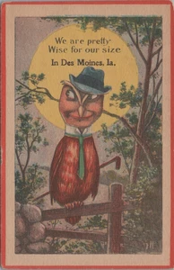 Anthropomorphic Dressed Owl Humor Wise For Size Des Moines IA 1913 postcard MQ4 - Picture 1 of 2