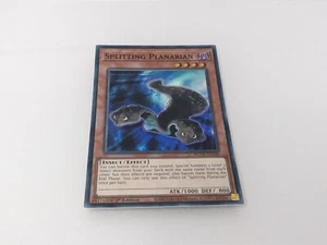 Yugioh Splitting Planarian Effect Holo ROTA-EN100 TCG Trading Card - Picture 1 of 2