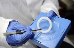 Anillo Pesario Silicona Prolapso Uterino Pélvico Tamaño 65 mm ENTREGA 3 DÍAS - Imagen 1 de 4
