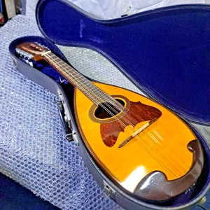 Suzuki No. 1 with Suzuk mandolin hard case - Picture 1 of 20