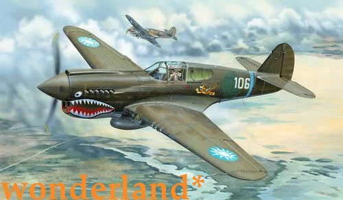 Kit de avión modelo Trumpeter 02269 1/32 P-40E Warhawk Foto 1 de 1
