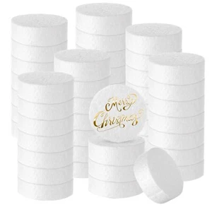 60 Pcs 3 Inch Foam Circles for Crafts 1" Thick Polystyrene Round Foam Disc Cr... - Picture 1 of 9