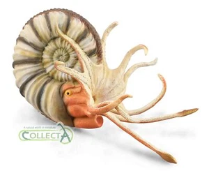 Figura de amonita CollectA Pleuroceras juguete coleccionable juego de rol educativo - Imagen 1 de 1