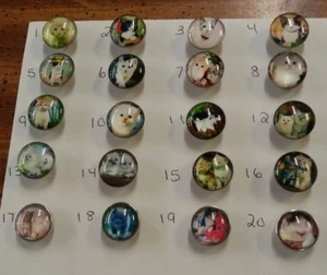 Kuschelige Kätzchen - Wählen Sie Ihre Lieblings Druckknöpfe 18 mm Ingwer/Noosa Stil Druckknopf Schmuck - Bild 1 von 21