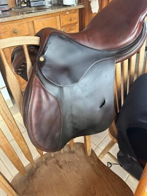 selim bruno delgrange 2014, árvore média 16,5. Aberto a ofertas para venda rápida  - Imagem 1 de 4