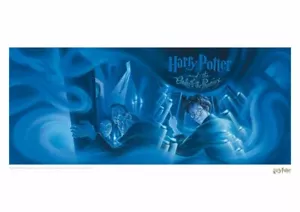 Harry Potter and the Order of the Phoenix Book Cover Art Print (Limited Edition) - Bild 1 von 1