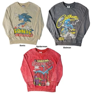 Character Boys Mineral Washed Embroidery Soft and Comfortable Graphic Pullover - Picture 1 of 5