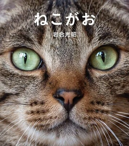 Cat Face ねこがお Japanese book kawaii pet photo Nekogao neko - Imagen 1 de 1