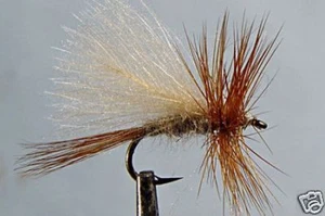 10 x Mouche Sèche Sedge Oreille Lièvre H12/14/16/18/20/22 trout fly hare fishing - Photo 1/1