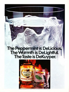 DeKuyper LIQUEUR AD #10 RARE 1982 OUT OF PRINT VINTAGE  - Picture 1 of 2