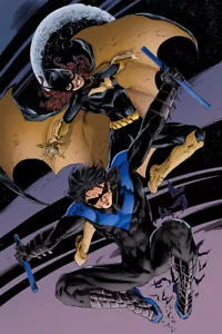 Batgirl and Nightwing Grappling Hook Decor Wall Art Print - POSTER 20x30 - Picture 1 of 4