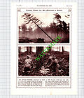 Canadian Foresters Battalion Surrey World War One WW1 - 1917 Cutting / Print