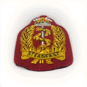 Royal Army Medical Service Para 16 Air Assault Officers Embroidered Cap Badge - Bild 1 von 2