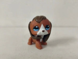 Littlest Pet Shop toy LPS Brown Beagle Dog with Blue Eyes #1104 Figure for kid - Picture 1 of 7