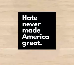 Aufkleber HATE NEVER MADE AMERICA GREAT AGAIN Progressive Bold Black & White Decal - Bild 1 von 6