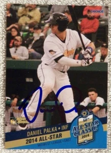 Arizona Diamondbacks Daniel Palka 2014 firmado MWL All-Star automático Silver Hawks - Imagen 1 de 1