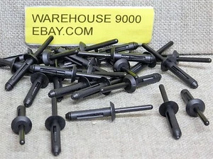 25 remaches ciegos de nailon Auveco 14004 para GM: 25524005 camión todo terreno universal - Imagen 1 de 3