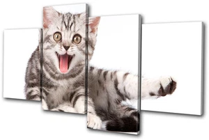 Animales Gatitos Gatos Mascotas MULTI LIENZO ARTE DE PARED Impresión de imagen VA - Imagen 1 de 1