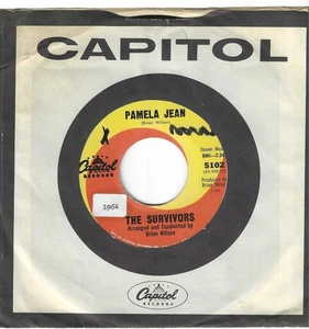 BRIAN WILSON, THE SURVIVORS ON CAPITOL - "PAMELA JEAN" VG++ (wol) - Picture 1 of 2