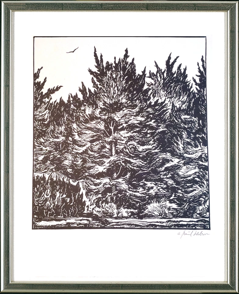 Andreas Paul Weber (1893-1980), signiert, gerahmt: Waldlandschaft, o.J. - Bild 1 von 1