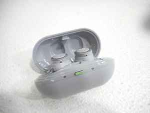 Jaybird RUN XT Sport True Wireless Headphones Storm Gray/Glacier 985-000890 - Picture 1 of 7