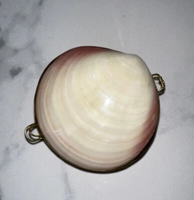 Raro Capriz Madreperla Concha Baratija Caja Pastillero De Colección Bisagras Usado en Excelente Condición Foto 1 de 4