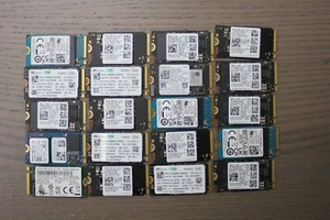 20pcs 2242 NVMe M.2 SSD 512GB – 100% Health, Low Hours, Major Brand New Pulls - Afbeelding 1 van 9