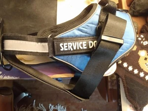 Service Dog Vest Harness - Blue - Picture 1 of 2