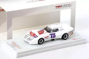 1:43 TSM 1975 Chevrolet Corvette 24h Daytona #75 Spirit Di Sebring Greenwood/ Mu - Foto 1 di 3
