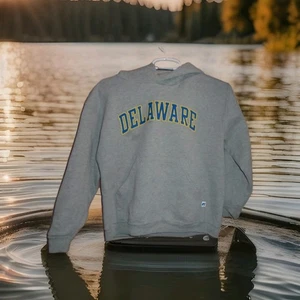 DELAWARE BLUE HENS LOGO HOODIE SWEATSHIRT YOUTH MEDIUM BY RUSSELL - Picture 1 of 4