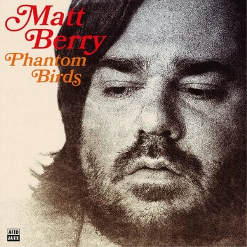Matt Berry Phantom Birds (Vinyl) 12" Album Foto 1 de 1