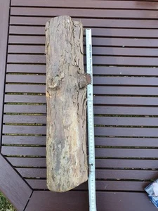 Eibe Drechselholz Schnitzholz Kantel Klangholz 42 cm ○ 10-11 cm 1,5 Jahre gelage - Bild 1 von 5