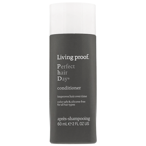 Nuevo Acondicionador de Día para el Cabello Perfecto a Prueba de Vida 2 fl oz Sulfato Sin Parabenos WO10 - Imagen 1 de 1