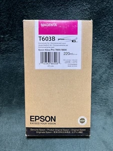 Cartuccia inchiostro originale Epson T603B magenta febbraio 2012 - Foto 1 di 4