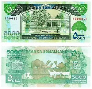 2016 Somaliland banknote 5000 Shillings P21d UNC new date - Picture 1 of 1