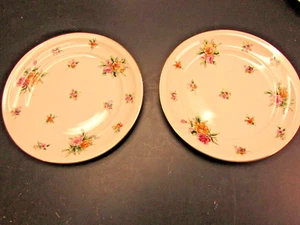 Empire Shape Meito China Garden Rose China 2-10" Plates made in Occupied Japan - Picture 1 of 7