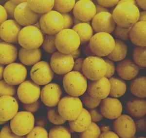 Pineapple carp bait boilies 2 kg 10 mm sweet creamy carp bait high attract - Picture 1 of 1