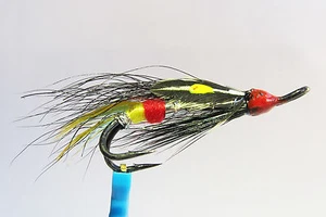 1 x mouche Saumon EXECUTIONER DOUBLE hook salmon fly fliegen steelhead hairwing - Photo 1/1